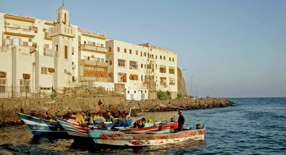  قناديل البحر تهاجم 60 شخصا في عدن