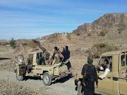 الجيش يحبط هجوم كبير للحوثيين في قانية بالبيضاء