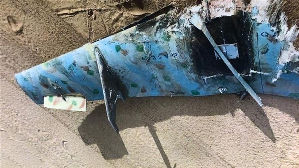 الجيش يحرر جبالا وقرى غربي تعز بين مقبنة وجبل حبشي
