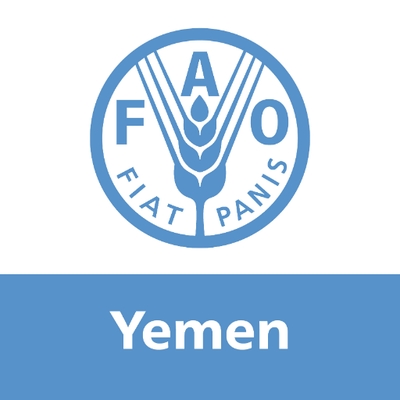 منظمة«الفاو» تدعو للتأهب لمواجهة مخاطر فيضانات متوقعة في اليمن