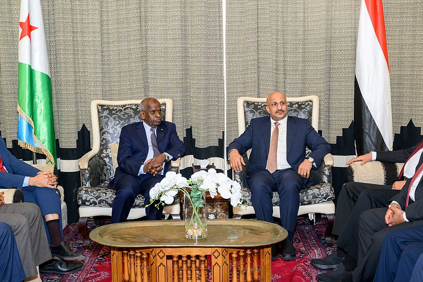 طارق صالح يناقش مع رئيس الوزراء الجيبوتي الحد من تهريب الأسلحة الإيرانية إلى مليشيا الحوثي 