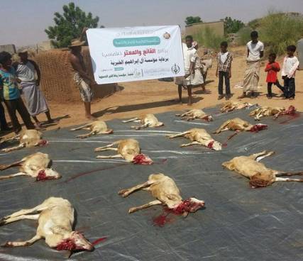"رباط الخير" تنفذ مشروع توزع الأضاحي على 1330 أسرة في عدة محافظات