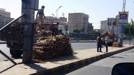 الحرب تقتل أشجار اليمن