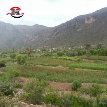 غرب تعز.. المليشيات تقصف مواقع المقاومة في الوزاعية والمندب ومقبنة 