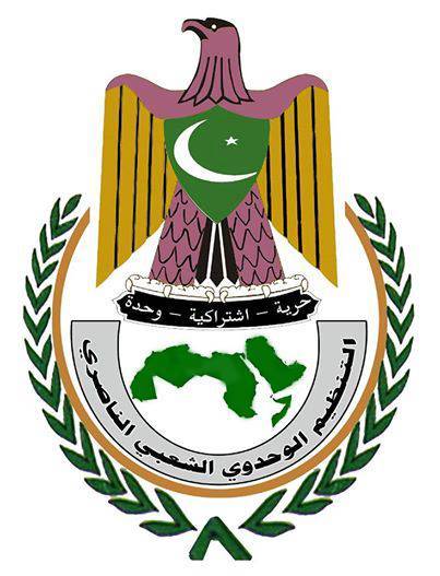 الوحدوي الشعبي الناصري يعلن موقفه من الإعلان الدستوري الحوثي