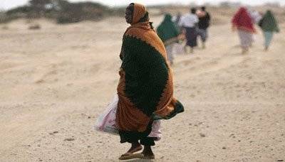 ضبط 29 متسلل أثيوبيا بساحل جديد في مديرية ذباب