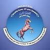 قيادي مؤتمري: اجتماع القاهرة لعزل صالح وتأييد الشرعية