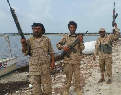 مقتل قيادات حوثية و17 من عناصر المليشيات في معارك عنيفة مع الجيش والمقاومة بجبهة ميدي