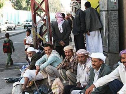 استطلاع : 70% من الشباب يرون السلطة المحلية غير مفيدة