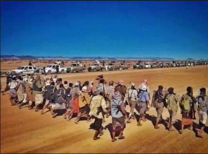مأرب : تلاحم شعبي وقبلي لصد العدوان الحوثي بجبهة مأرب شبوة