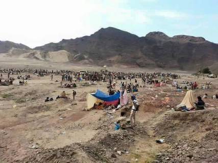 تجنيد مكثَّف لـ"المقاومة الجنوبية" في صفوف الجيش الوطني وداعش يكفر ويهدد من يلتحقون بالجيش والشرطة