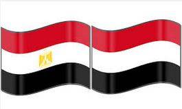 مصر تطالب القوى السياسية في اليمن بتحمل مسؤولياتها تجاه وطنهم