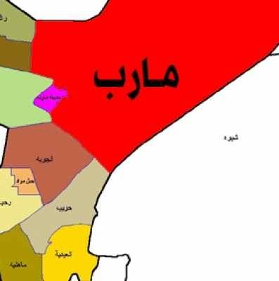 تنظيم القاعدة يتبى عملية اغتيال أمين عام المجلس المحلي بمديرية محرز ويوضح أسباب استهدافه