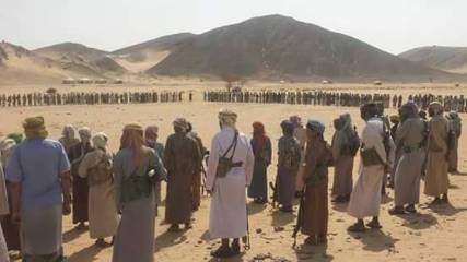 المقاومة الشعبية تستعد لتحرير محافظة الجوف