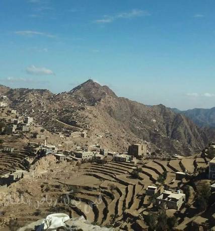 لحج.. طيران التحالف يحلق الآن فوق القبيطة بعد وصول تعزيزات للمليشيات