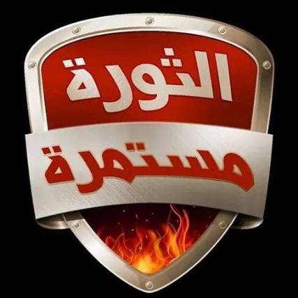 مجلس شباب الثورة يدعو اليمنيين للاحتشاد يوم غد للانتفاض على الإنقلاب الحوثي