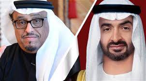 وزير خارجية الإمارات يرد على خلفان ويوضح رأيه في صالح(صورة)