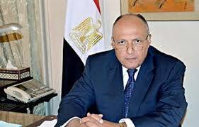 ملف اليمن على طاولة وزيرا خارجية الإمارات ومصر